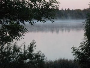 Ein friedlicher See umgeben von Bäumen und Natur in Rheinsberg.